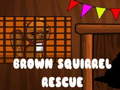 Gra Brown Squirrel Rescue