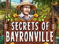 Gra Secrets of Bayronville