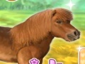 Gra My Dear Pony