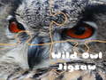 Gra Wild owl Jigsaw