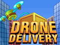 Gra Drone Delivery