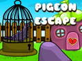 Gra Pigeon Escape