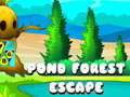 Gra Pond Forest Escape