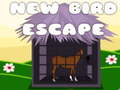 Gra Horse escape