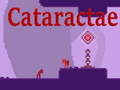 Gra Cataractae