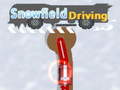 Gra Snowfield Driving