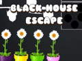 Gra Black House Escape