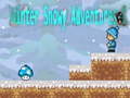 Gra Winter Snowy Adventures 1