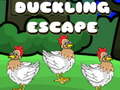 Gra Duckling Escape