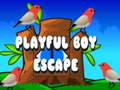 Gra Playful Boy Escape