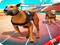 Gra Crazy Dog Race