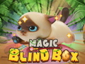 Gra Magic Blind Box