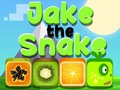 Gra Jake The Snake