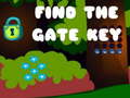 Gra Find the Gate Key