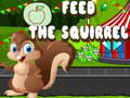Gra Feed the squirrel