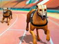 Gra Dogs3D Races