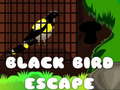 Gra Black Bird Escape
