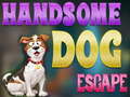 Gra Handsome Dog Escape