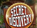 Gra Secret Discovery