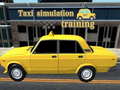Gra Taxi simulation training