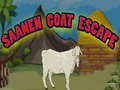 Gra Saanen Goat Escape