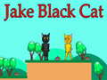 Gra Jake Black Cat