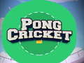 Gra Pong Cricket