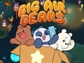 Gra Big Air Bears