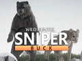 Gra Wild Hunter sniper buck