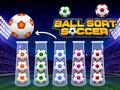 Gra Ball Sort Soccer