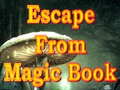 Gra Escape From Magic Book