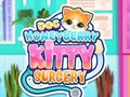 Gra Doc HoneyBerry Kitty Surgery