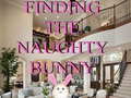 Gra Finding The Naughty Bunny