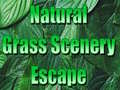 Gra Natural Grass Scenery Escape