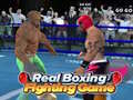 Gra Real Boxing Fighting Game