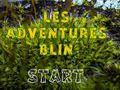 Gra Les Adventures Blin