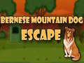 Gra Bernese Mountain Dog Escape