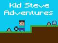 Gra Kid Steve Adventures