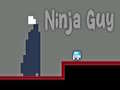 Gra Ninja Guy
