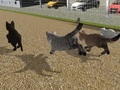 Gra Run Cat Cat Race