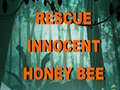 Gra Rescue Innocent Honey Bee 