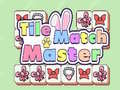 Gra Tile Match Master