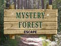 Gra Mystery Forest