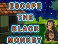 Gra Escape The Black Monkey