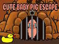 Gra Cute baby Pig escape