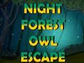 Gra Night Forest Owl Escape