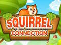 Gra Squirrel Connection