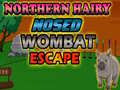 Gra Northern hairy nosed wombat Escape