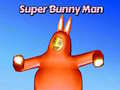 Gra Super Bunny Man