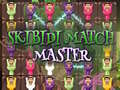 Gra Skibidi Match Master